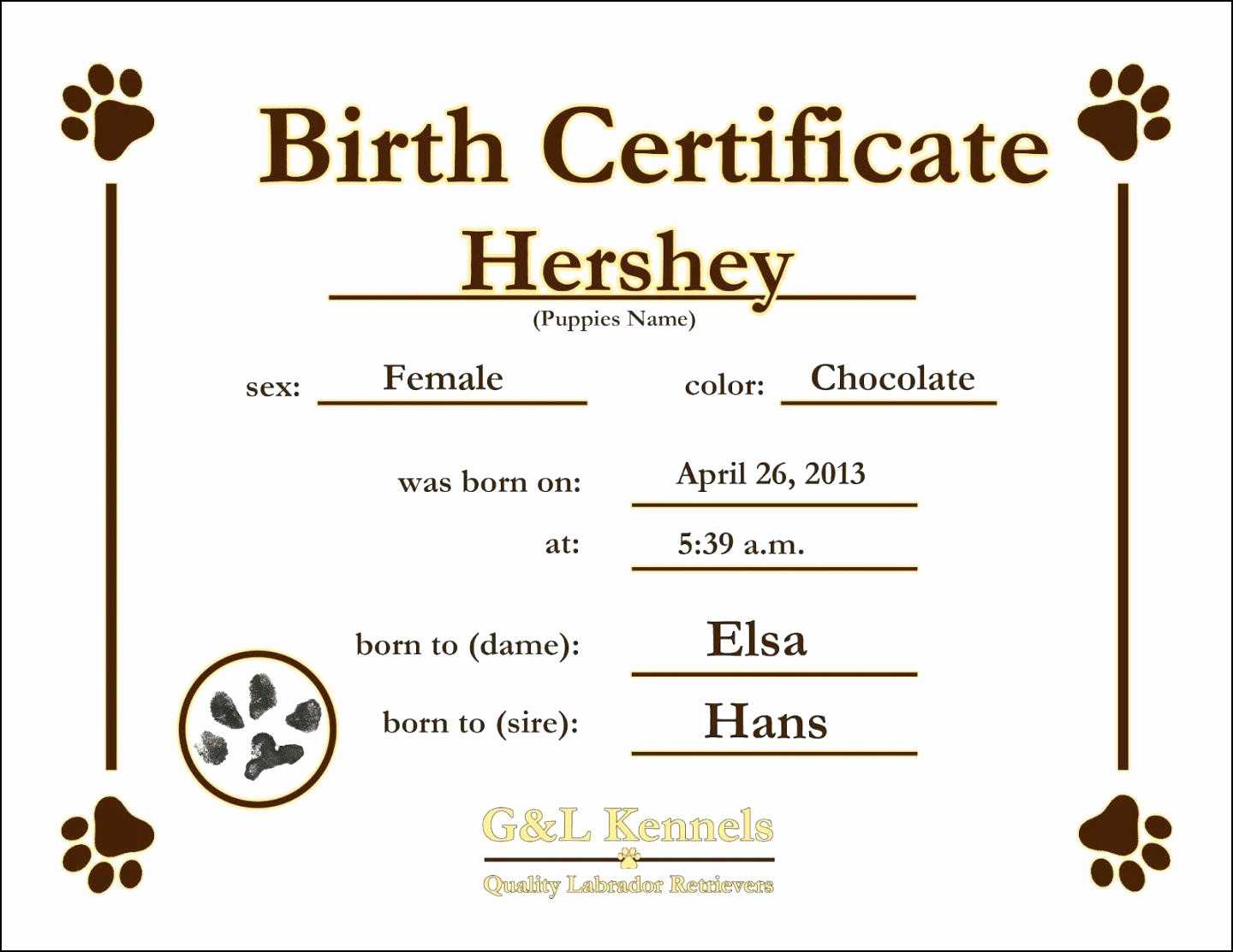 12 Birth Certificate Template | Radaircars In Birth Certificate Fake Template