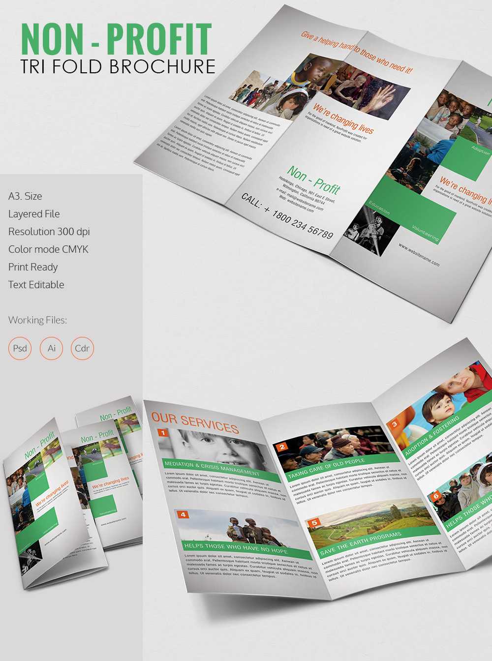 Amazing Non Profit A3 Tri Fold Brochure Template Download In Ngo Brochure Templates
