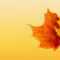Autumn Ppt Background - Powerpoint Backgrounds For Free with regard to Free Fall Powerpoint Templates