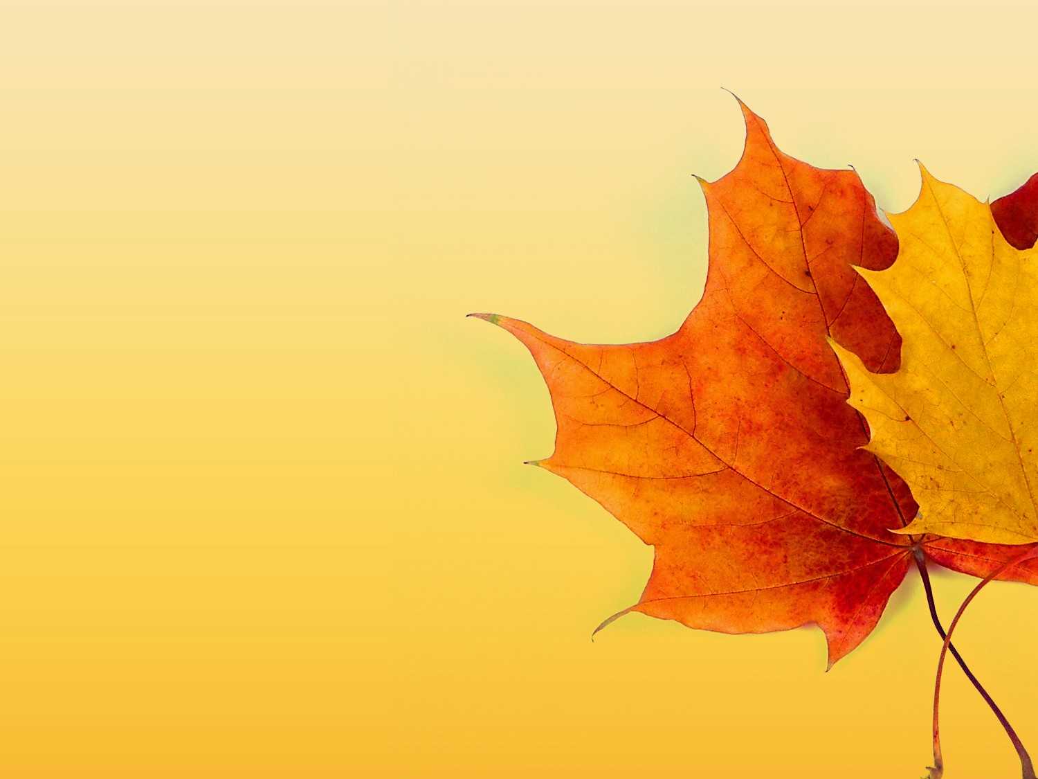 Autumn Ppt Background - Powerpoint Backgrounds For Free with regard to Free Fall Powerpoint Templates