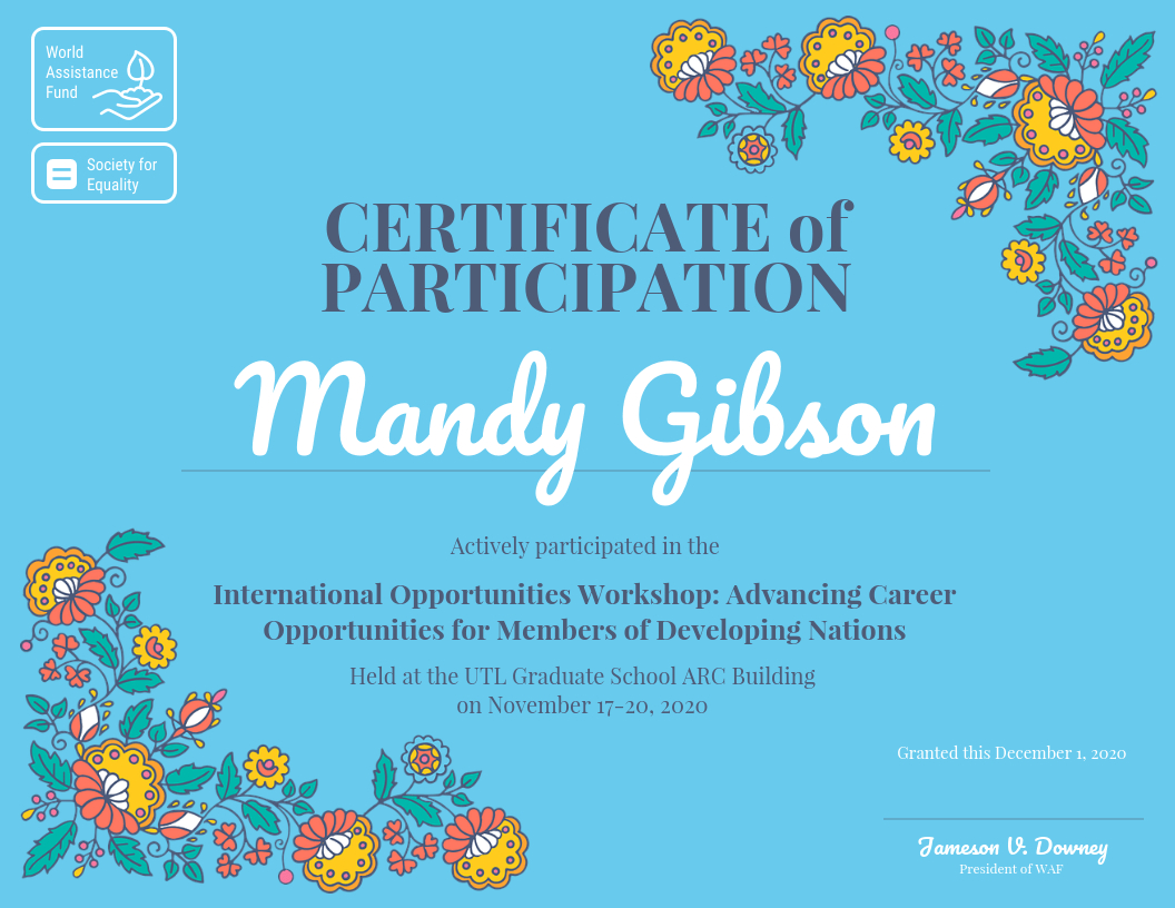 Certificate Of Participation In Templates For Certificates Of Participation