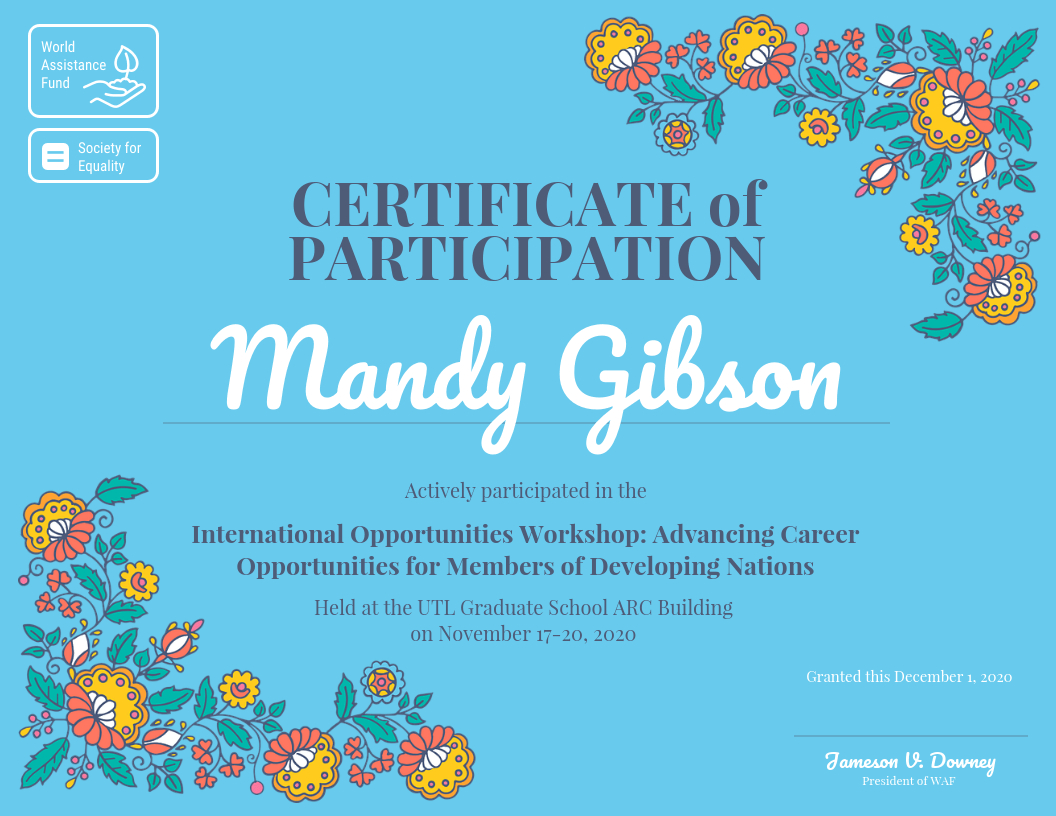 Certificate Of Participation Throughout Certificate Of Participation In Workshop Template