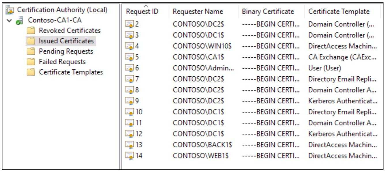 Глава 4. Сертификаты В Windows Server 2016 – Windows Server For Domain Controller Certificate Template