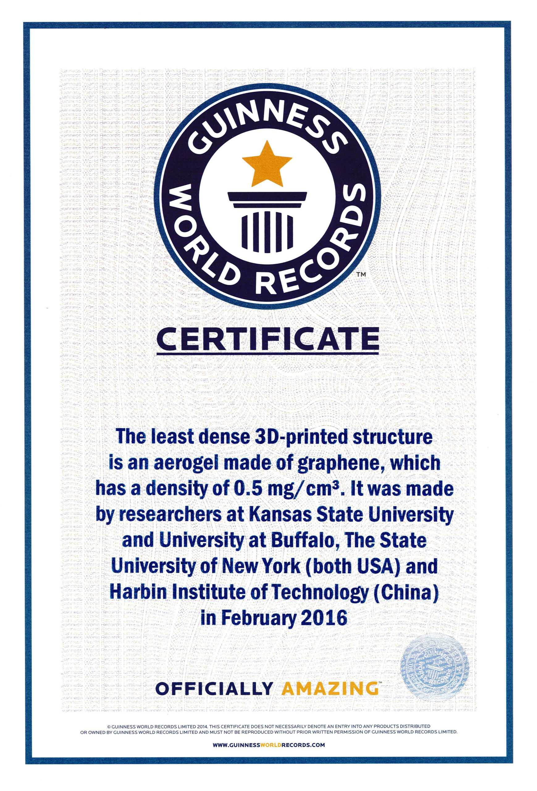 Fake Guinness World Record Certificate – Karati.ald2014 With Regard To Guinness World Record Certificate Template