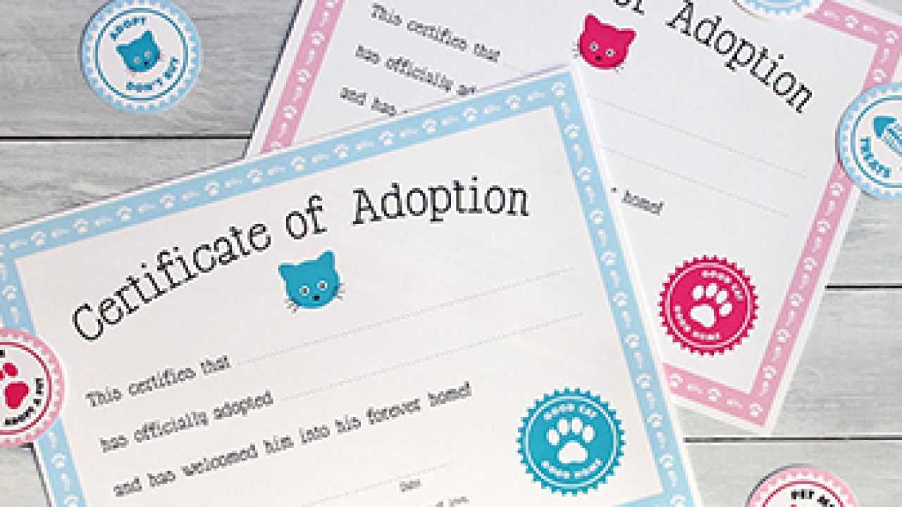 Free Printable Cat Adoption Kit | Chickabug With Toy Adoption Certificate Template
