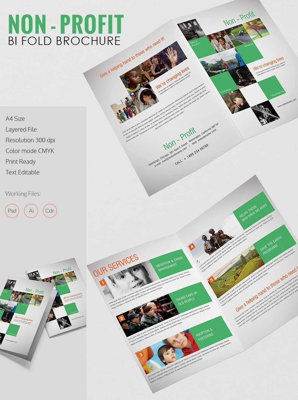 Non Profit Brochure Template Zrom Tk Ngo Templates Inside Ngo Brochure Templates