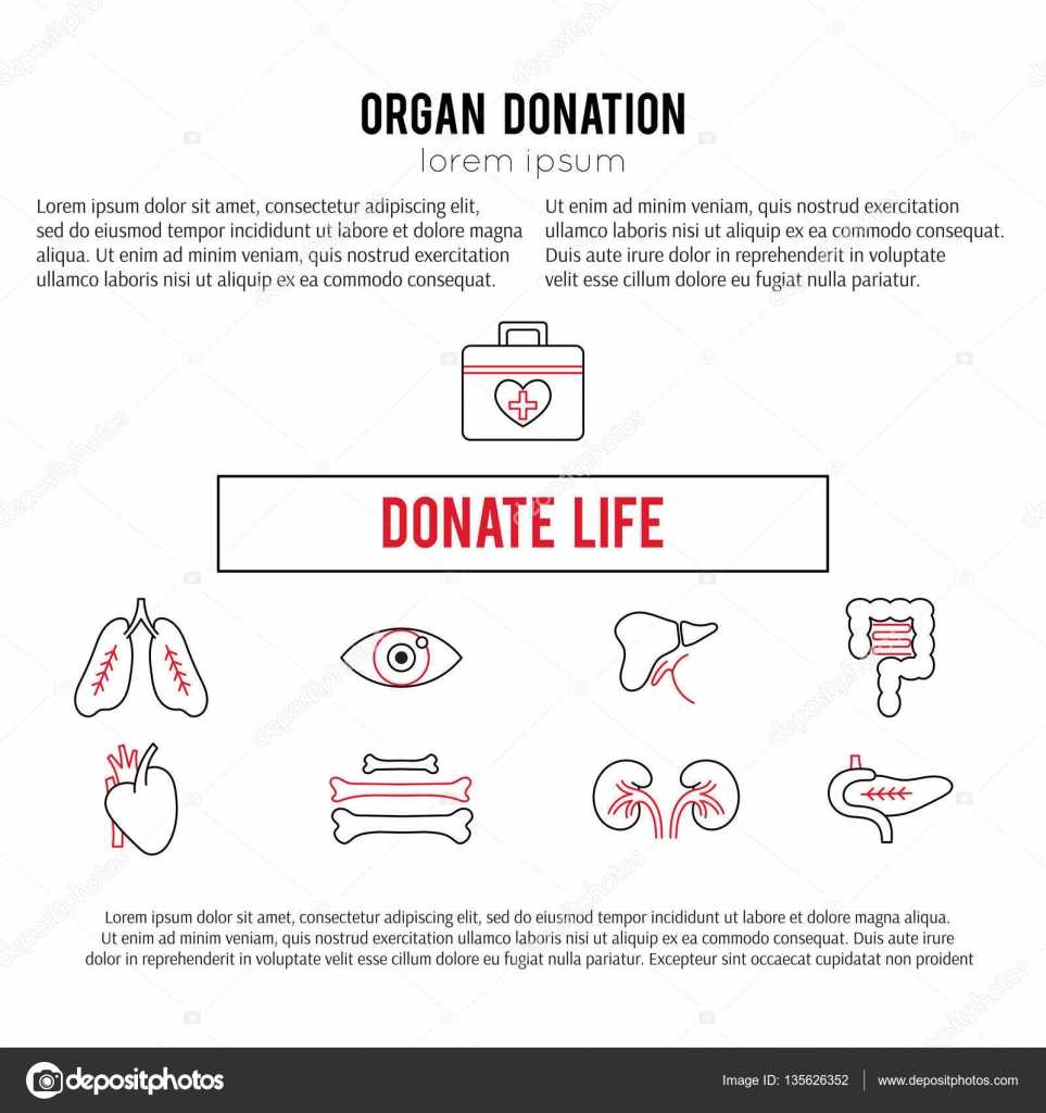 Organ Donation Template — Stock Vector © Julia Khimich For Organ Donor Card Template