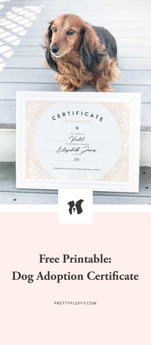 Pretty Fluffy Throughout Pet Adoption Certificate Template