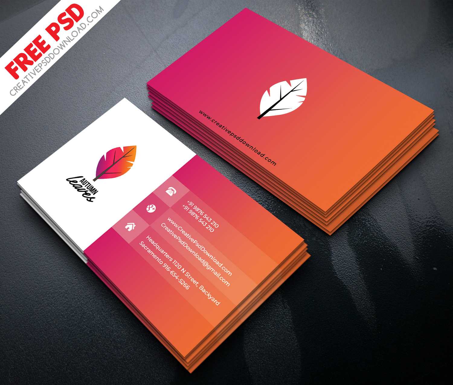 Professional Business Card Psd Free Download In Free Psd Visiting Card Templates Download