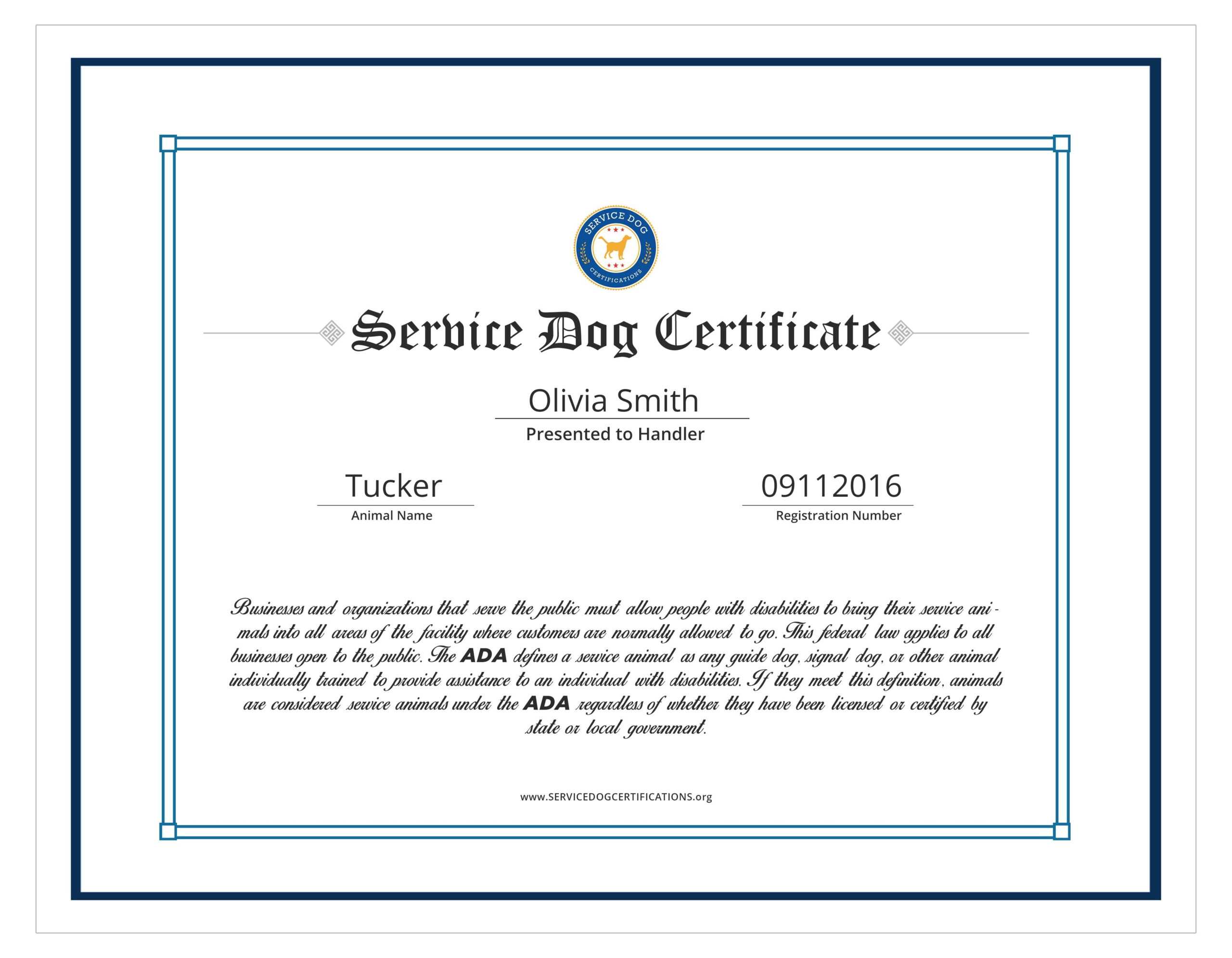 Service Animal Certificate Template - Carlynstudio Pertaining To Service Dog Certificate Template