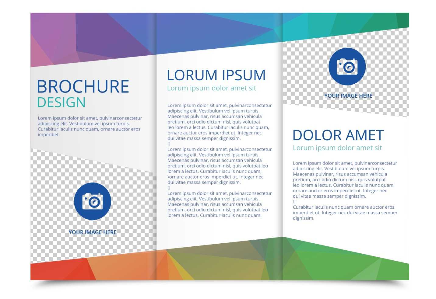 Tri Fold Brochure Vector Template - Download Free Vectors In 3 Fold Brochure Template Free Download