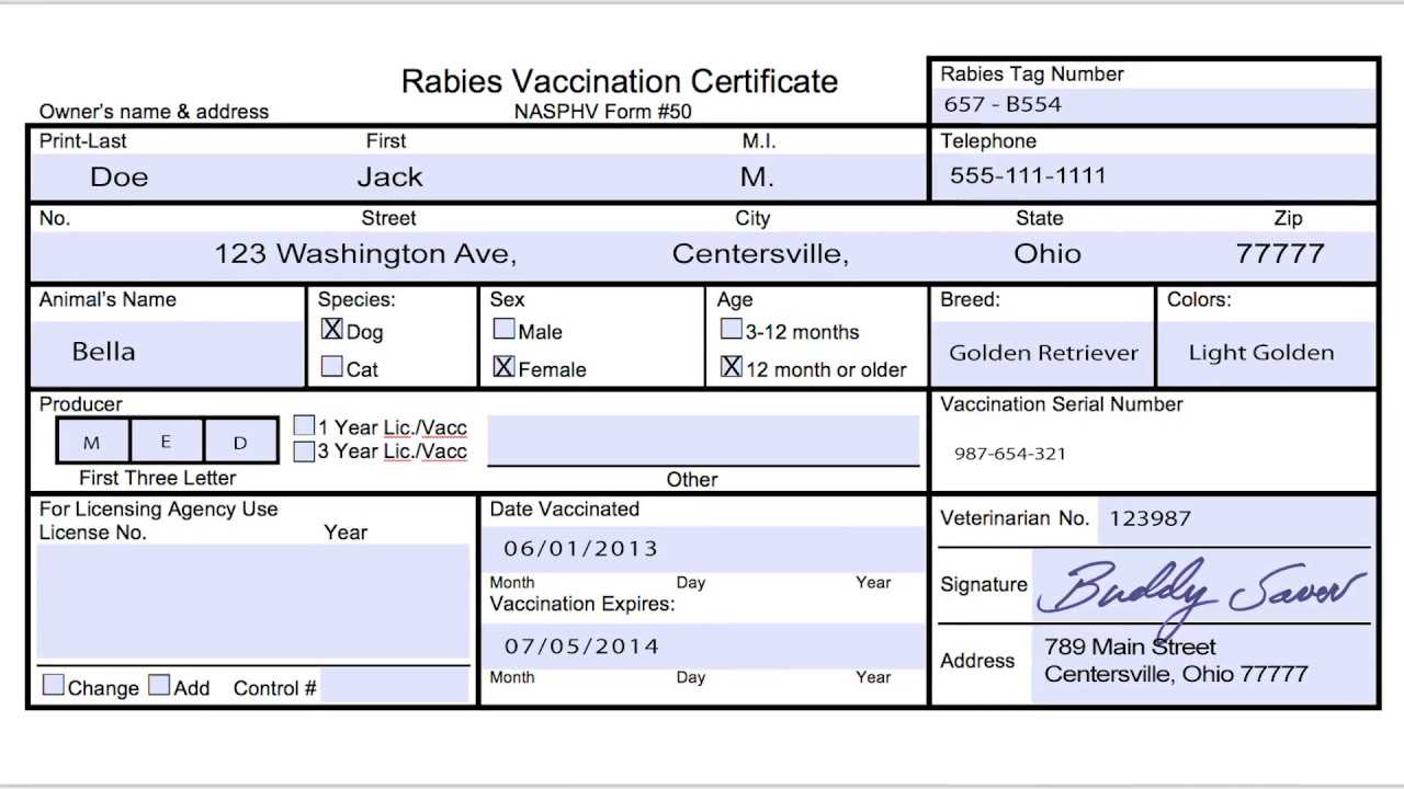 Usda Aphis | Travel Documentation – Rabies Vaccination Throughout Dog Vaccination Certificate Template